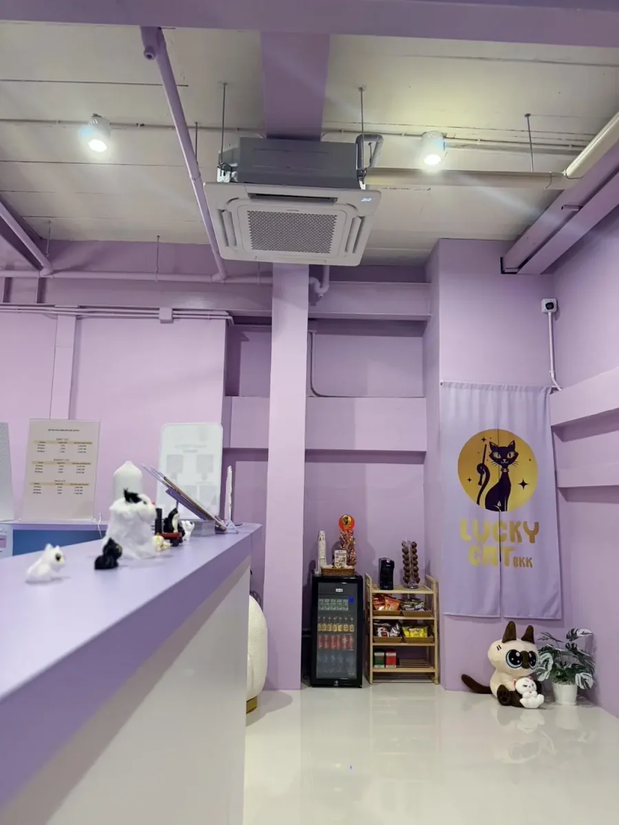 Lucky Cat Bkk