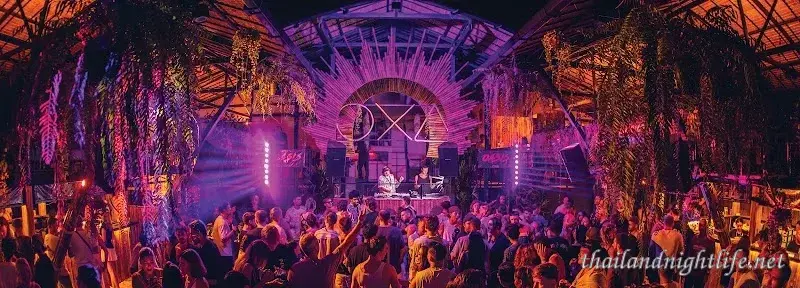 OXA - Jungle Party