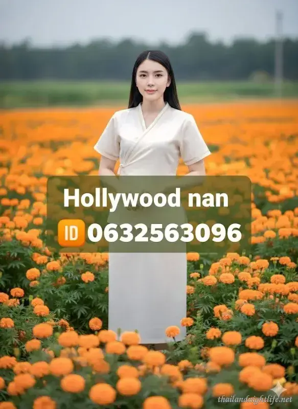 Hollywood Massage Nan
