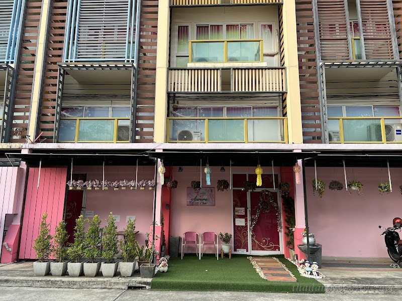 Aurora Club Chiang Mai