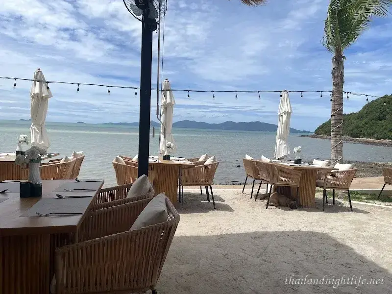 The Deck Beach Club